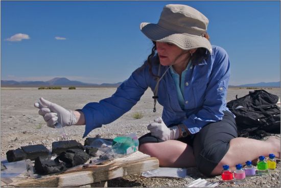 费利萨·西蒙在处理从莫诺湖中取出的泥块，充当用砷培育微生物的“温床”